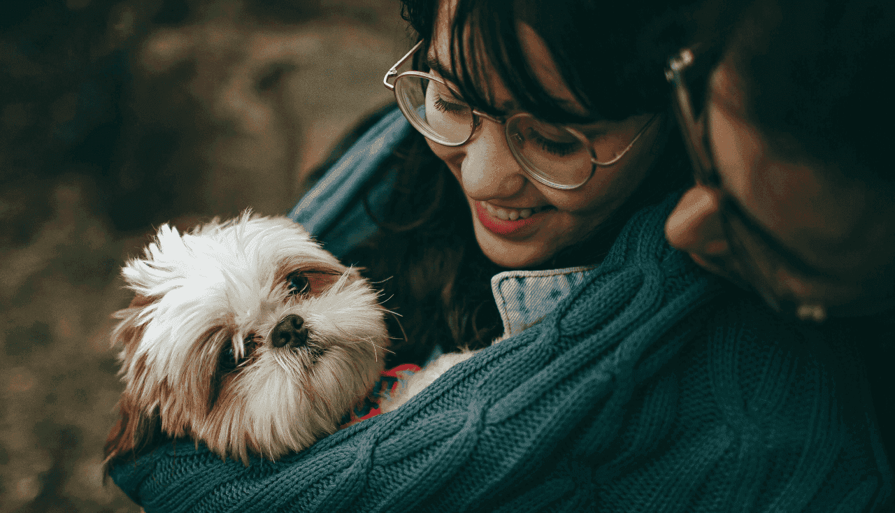 Mascota Segura Básico