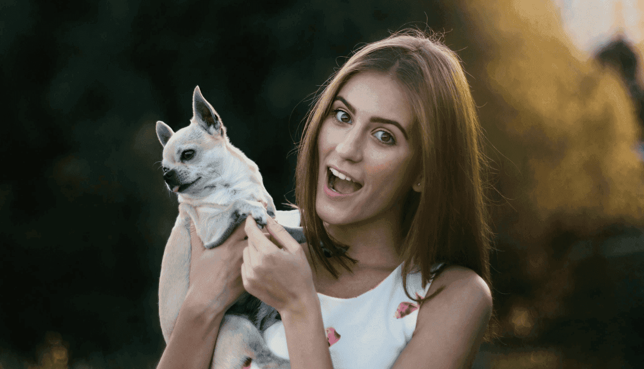 Mascota Segura Premium