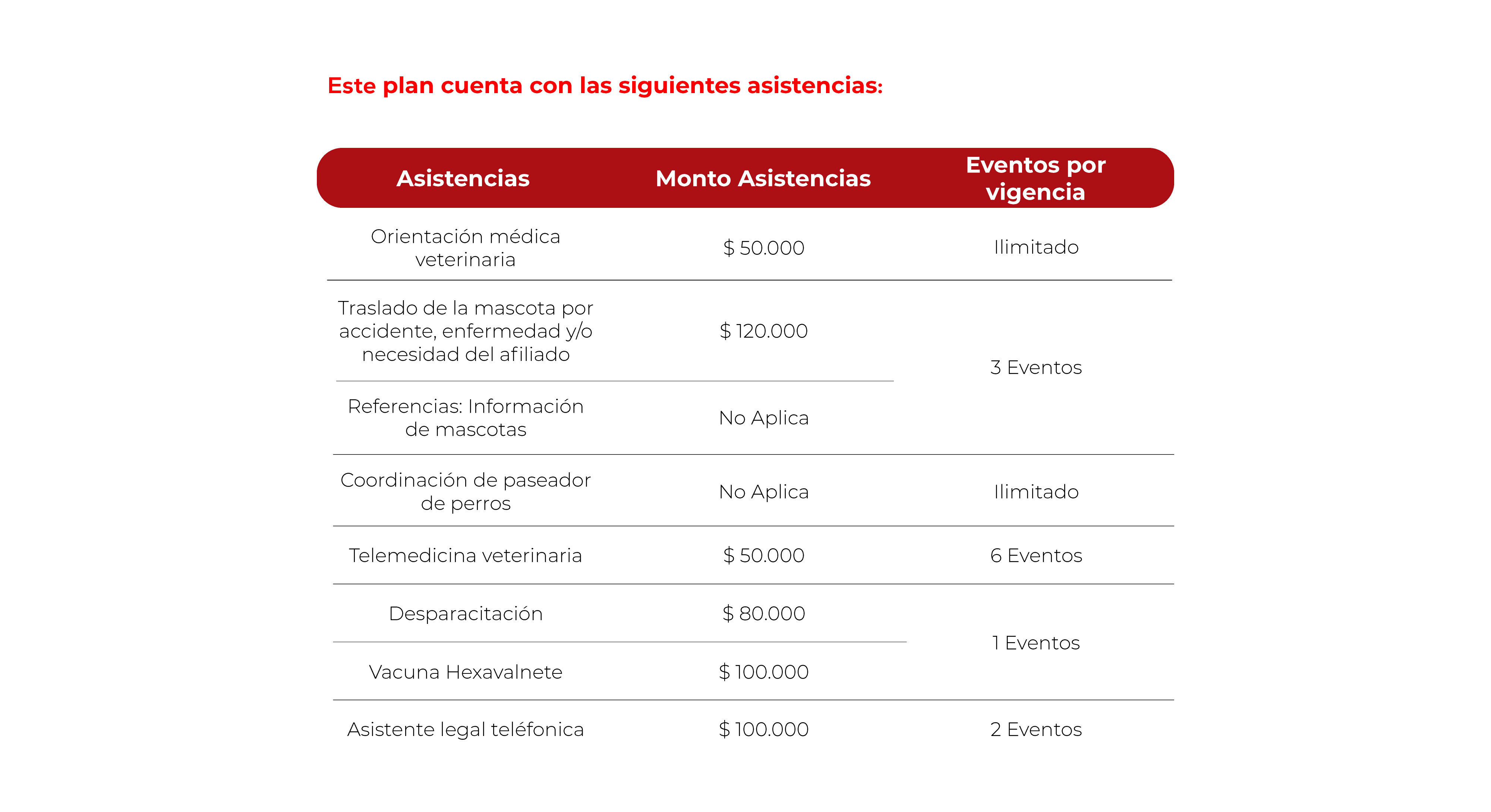 Mascota Segura Premium - imagen 2