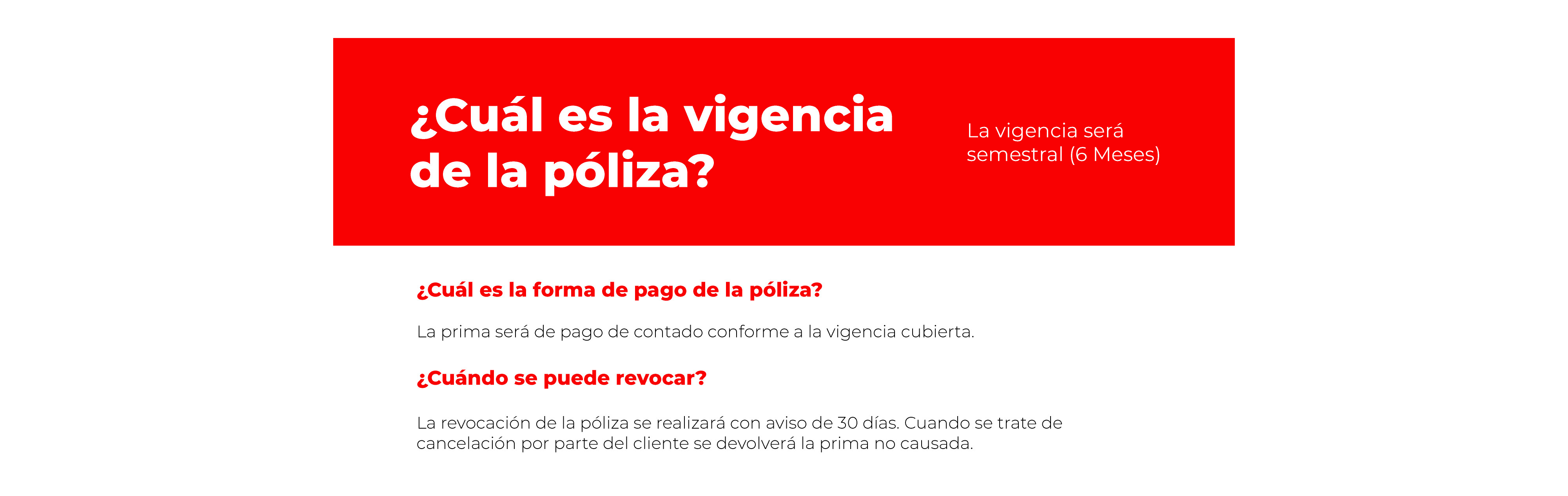 Mascota Segura Básico - imagen 2